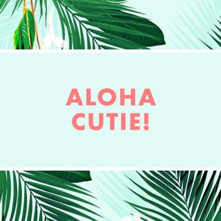 Aloha wallpaper