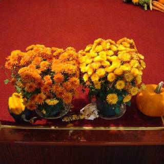 Thanksgiving decorations wallpaper