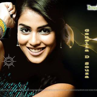 The Star movie wallpaper