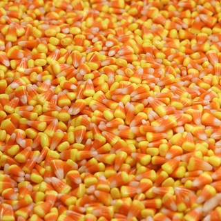 Candy corn wallpaper