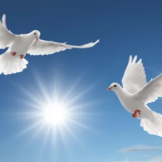 Flying birds wallpaper