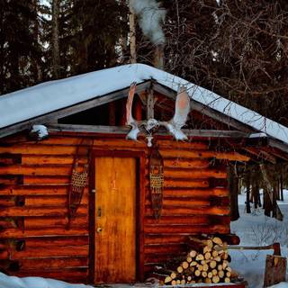 Log cabins wallpaper