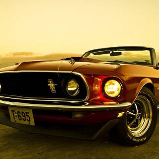 Old Mustang wallpaper