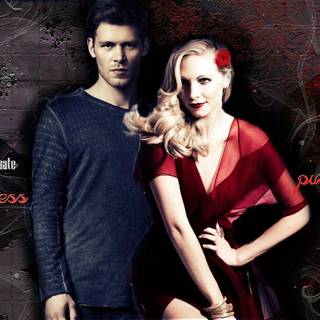 Candice Accola wallpaper