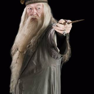 Harry Potter and Dumbledore wallpaper