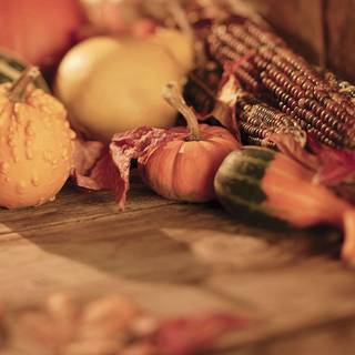 Día de Acción de Gracias wallpaper