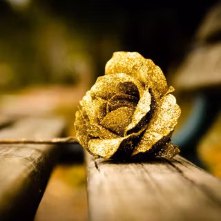 Gold rose wallpaper