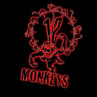 12 Monkeys wallpaper