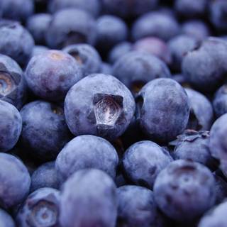 Blueberry wallpaper