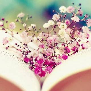 Reading books wallpaper