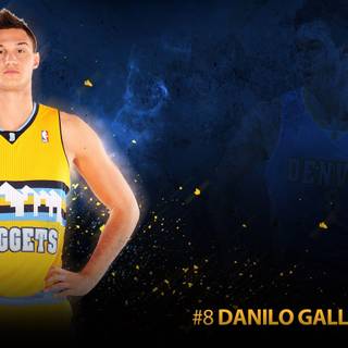 Denver Nuggets 2017 wallpaper