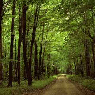 Pennsylvania wallpaper