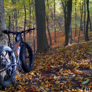 Pennsylvania wallpaper