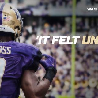 Washington Huskies wallpaper