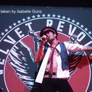 Velvet Revolver wallpaper