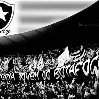 Botafogo wallpaper