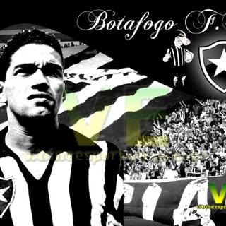 Botafogo wallpaper