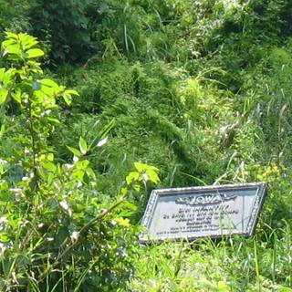 Houston Texas wallpaper