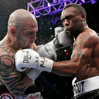 Miguel Cotto wallpaper