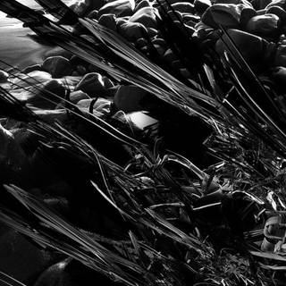 Black and white splash wallpaper