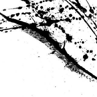 Black and white splash wallpaper