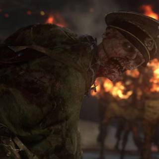 Call of Duty WW2 Zombies wallpaper