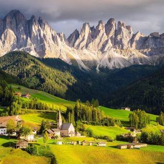 Artificial wallpaper