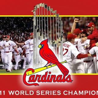 Stephen Piscotty wallpaper