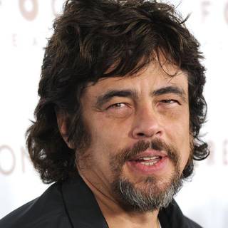 Benicio del Toro wallpaper