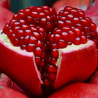 Pomegranate wallpaper