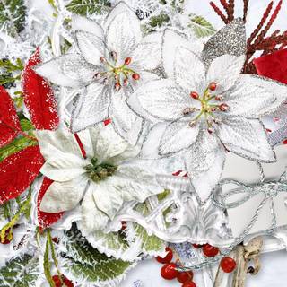 Christmas poinsettia wallpaper