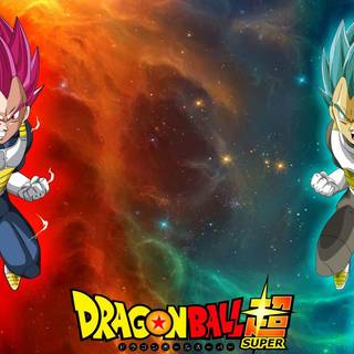 Dragon Ball Super all Gods wallpaper