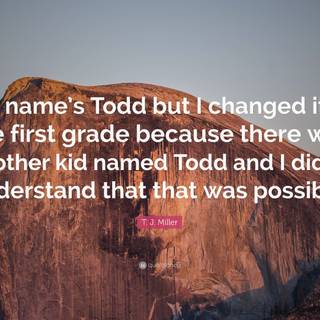 T.J. Miller wallpaper