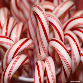 Christmas candy canes wallpaper