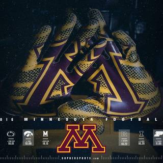 Minnesota state wallpaper
