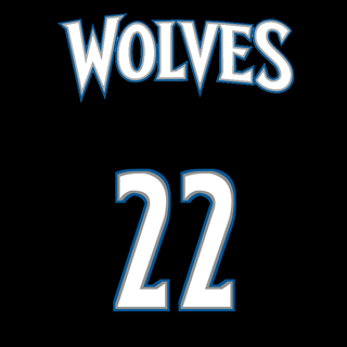 Minnesota state wallpaper