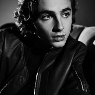 Timothée Chalamet wallpaper