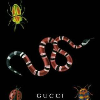 Gucci snake wallpaper