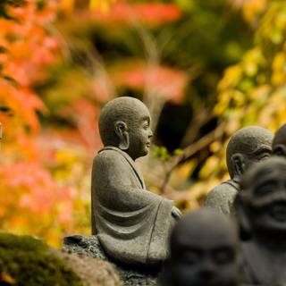 Zen Buddhism wallpaper