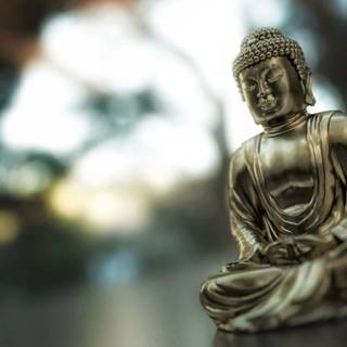 Zen Buddhism wallpaper