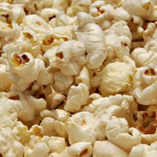 The Florida Project wallpaper