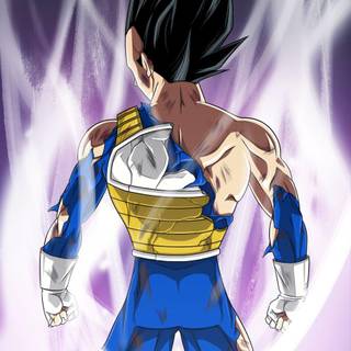 Limit Breaker Vegeta wallpaper