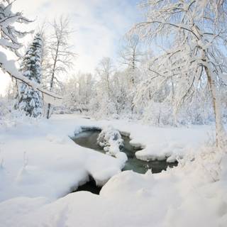 Winter scenes 2018 wallpaper