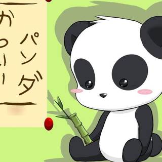 Anime panda wallpaper