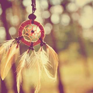 Dreamcatcher HD wallpaper