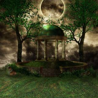 Forbidden forest wallpaper