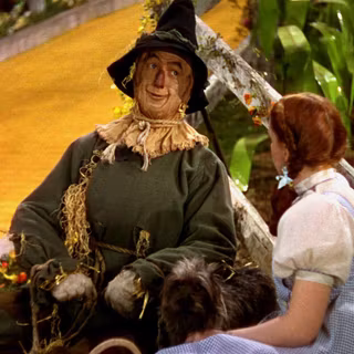 The Wizard of Oz The Scarecrow wallpaper