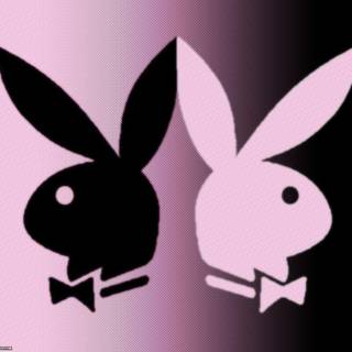 Playboy bunny logo wallpaper