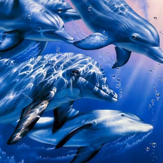 Dolphins animal wallpaper