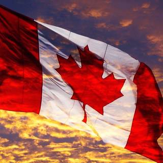 Canadian flag waving wallpaper